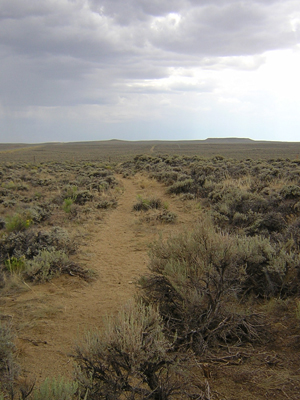 They Crossed the Plains with a Handcart